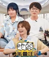 毛雪汪 加更版封面图