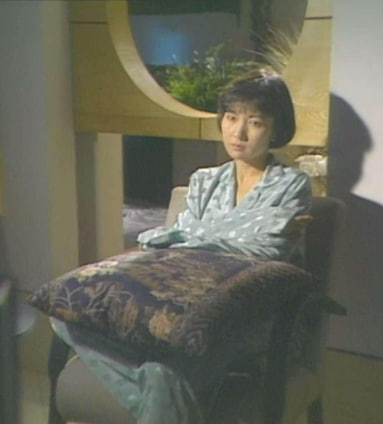 帝女情未了封面图