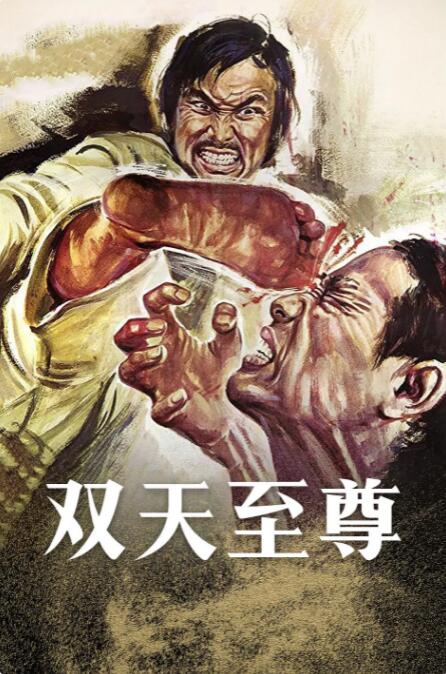 双天至尊封面图