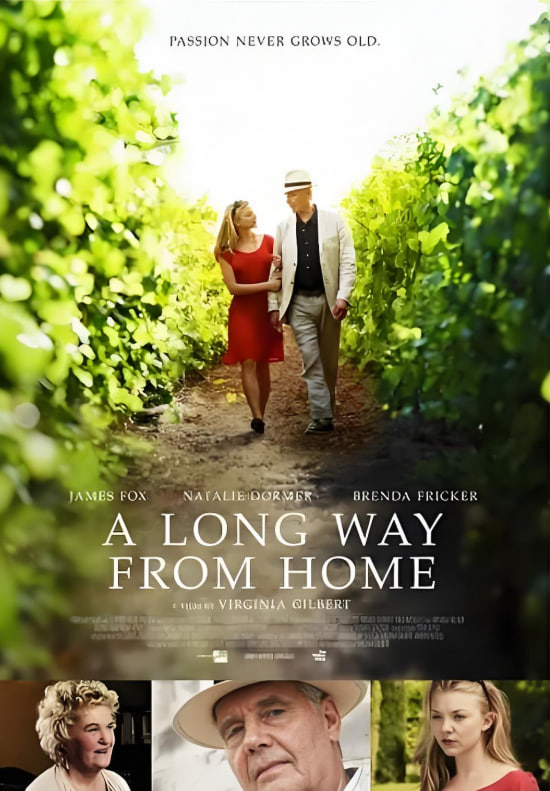 遥远的家封面图