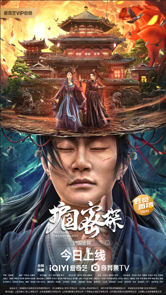 护国密探封面图