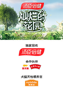 灿烂的花园封面图