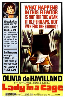 笼子里的女人封面图