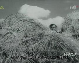 农人日记封面图