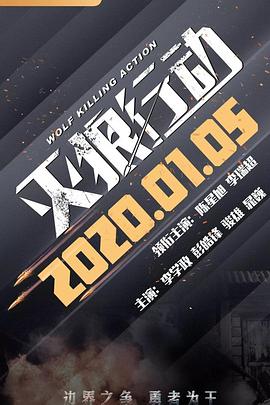 灭狼行动封面图
