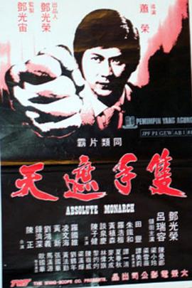 只手遮天1980封面图