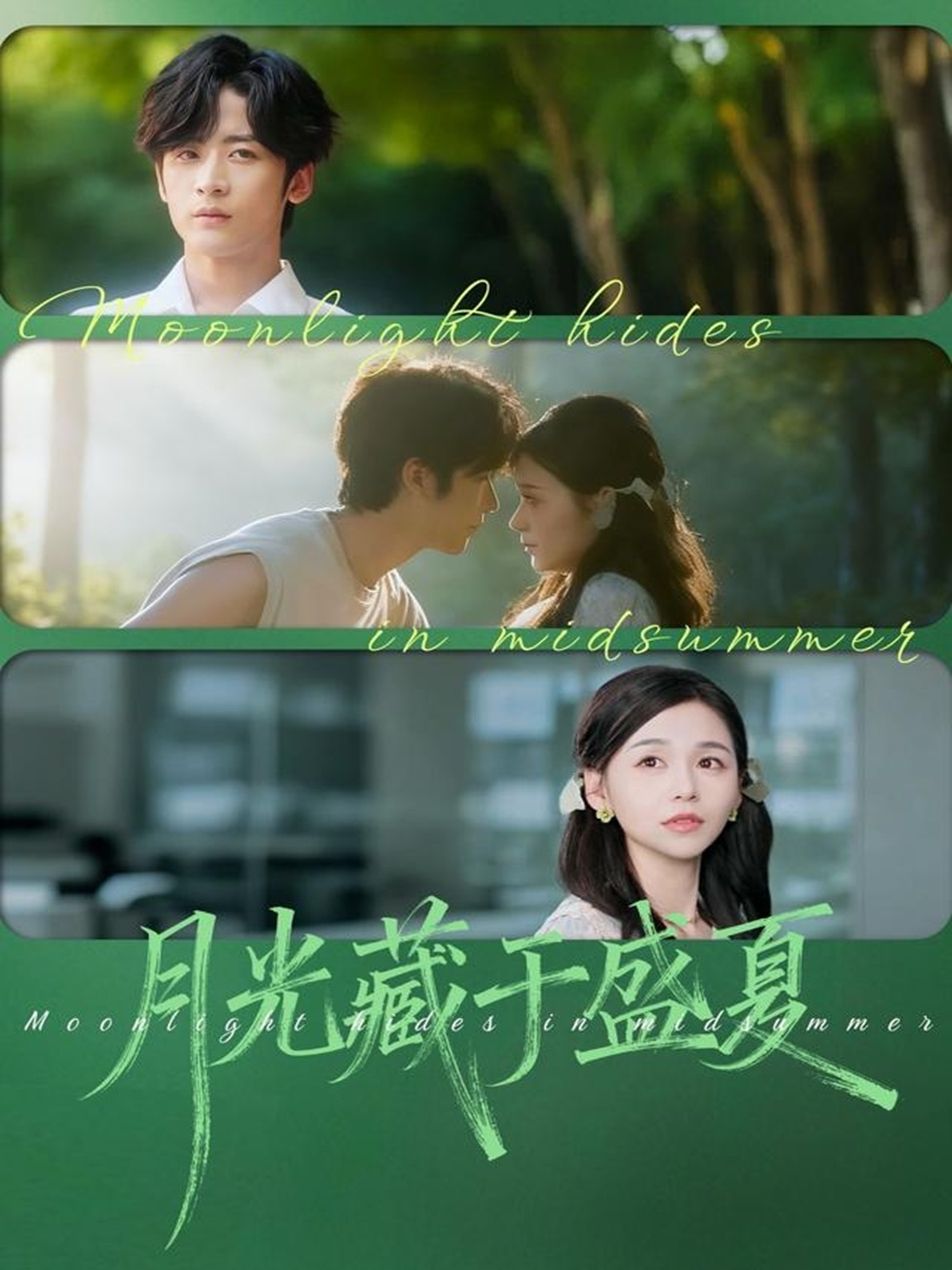 月光藏于盛夏封面图