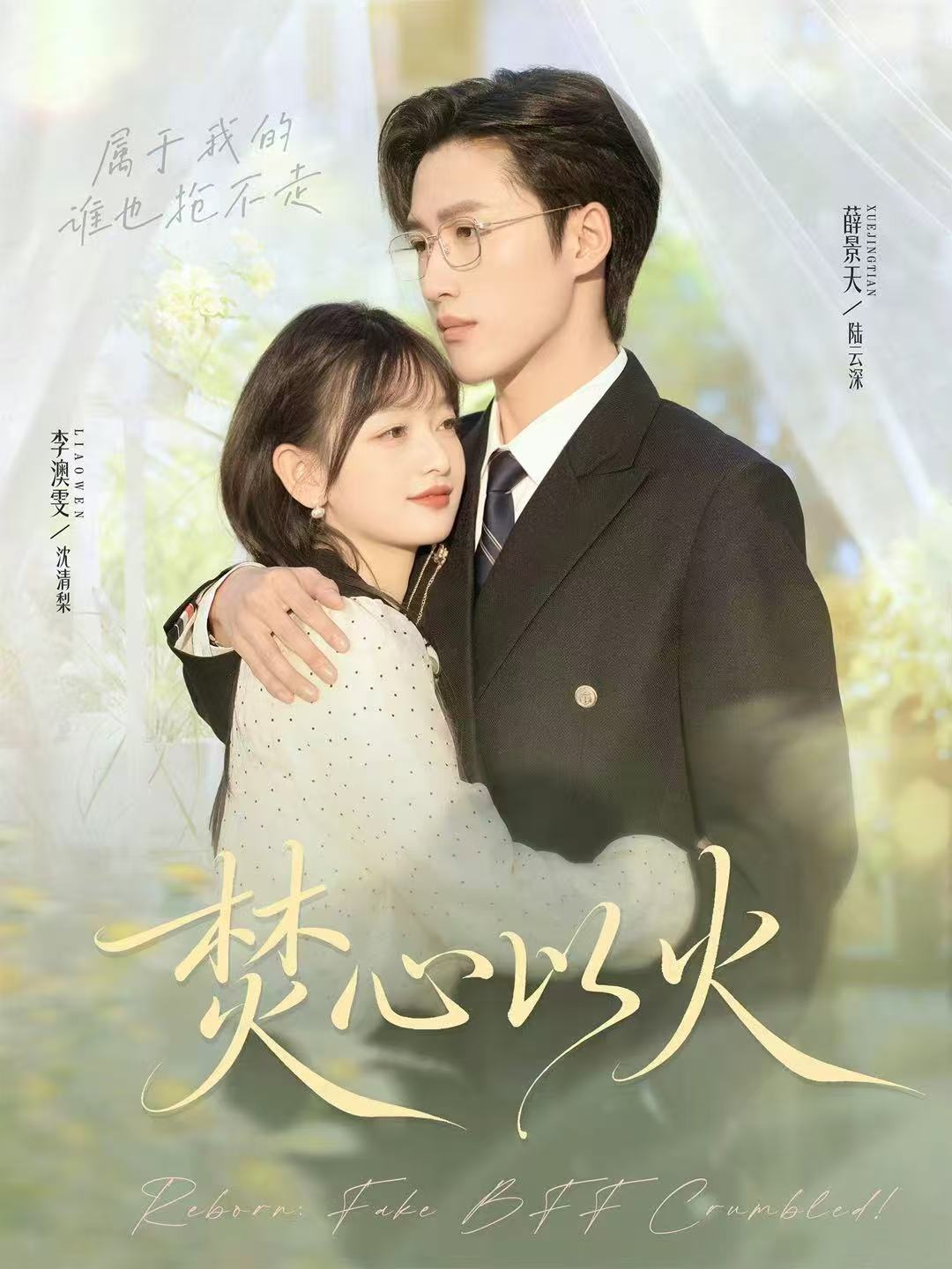 焚心以火封面图